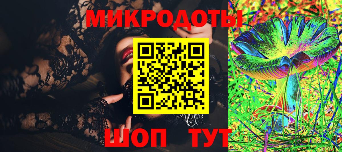 Галлюциногенные грибы Psilocybine cubensis Северодвинск