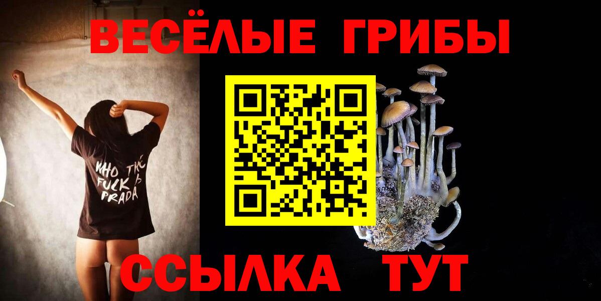 Северодвинск  Псилоцибиновые грибы Magic Shrooms  Вход с VPN 
